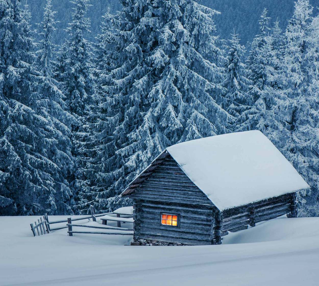 WINTER